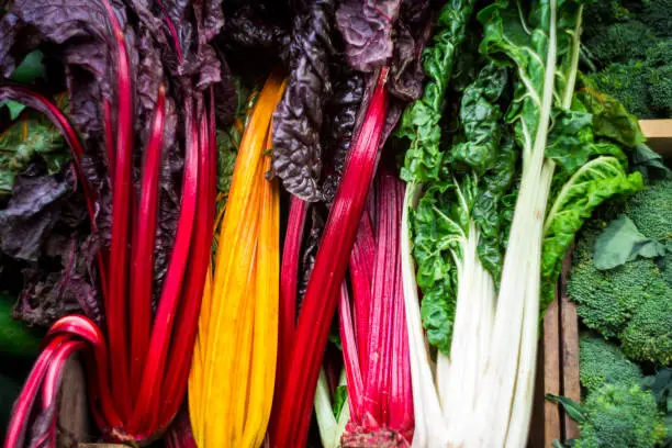 Close up color image depicting colorful sticks of Swiss Chard in a row and for sale at the food market. The chard is in vibrant red, yellow and green colors. Room for copy space.