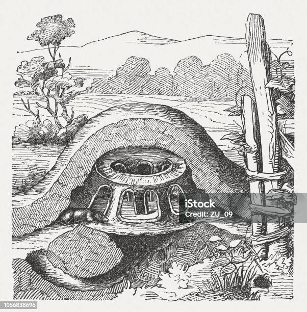 Illustration Of A Molehill With Mole Wood Engraving Published 1897 Stock Illustration - Download Image Now