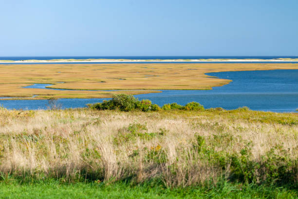istock Fort Hill On Cape Cod National Seashore In Massachusetts, USA 1056841332