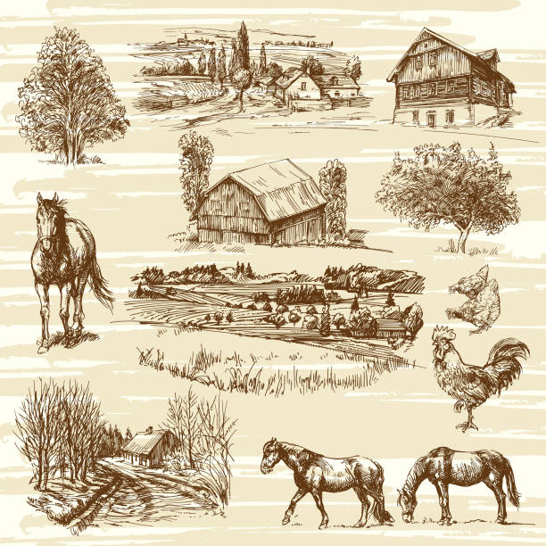 illustrazioni stock, clip art, cartoni animati e icone di tendenza di paesaggi romantici con case rurali e vari animali - architectural styles animal horse europe