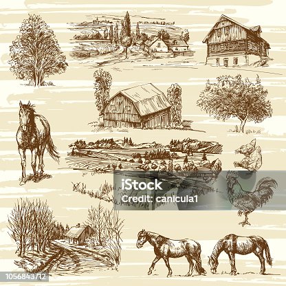 41,077 Horse Drawing Stock Photos, Pictures & Royalty-Free ...