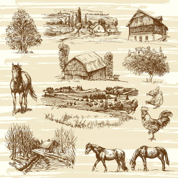 Romantic landscapes with rural houses and various animals Romantic landscapes with rural houses and various animals, hand drawn collection horse barn stock illustrations