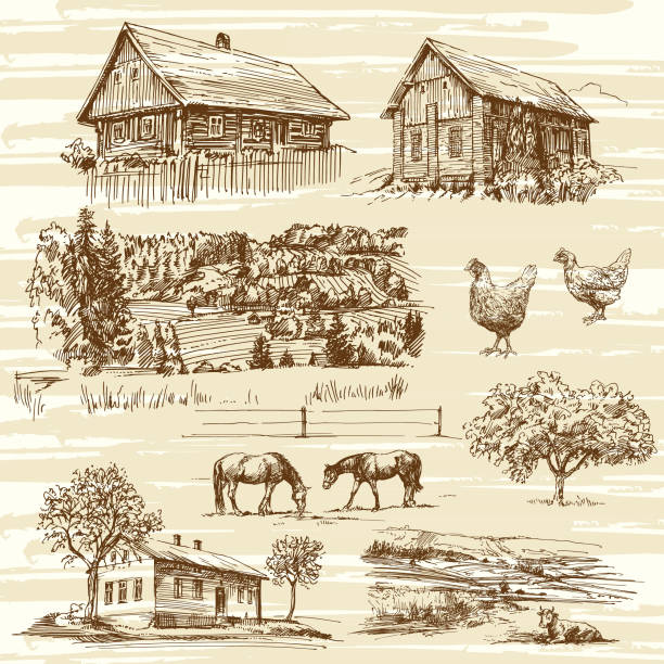 сельский пейзаж и дома, нарисованная вручную коллекция - sketch landscape mountain barn stock illustrations