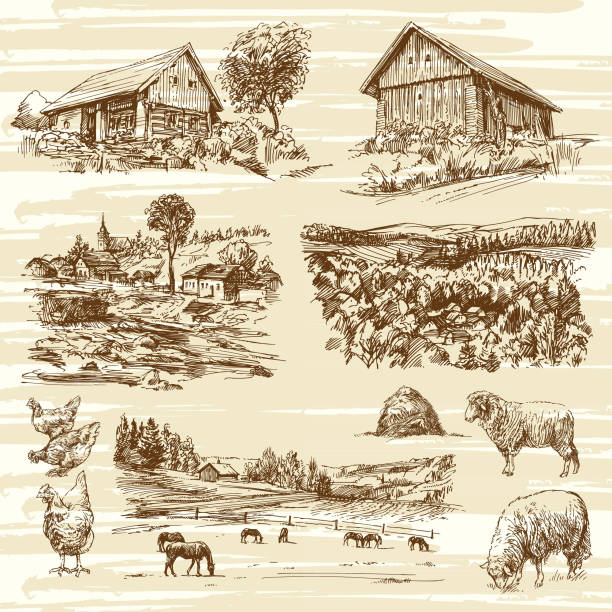 сельский пейзаж и дома, нарисованная вручную коллекция - sketch landscape mountain barn stock illustrations