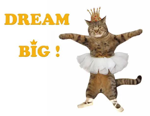 The cat ballerina is dancing. Dream big! White background.