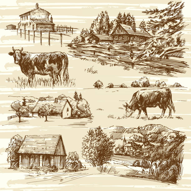 ферма, коровы, сельский пейзаж - нарисованный вручную набор - sketch landscape mountain barn stock illustrations