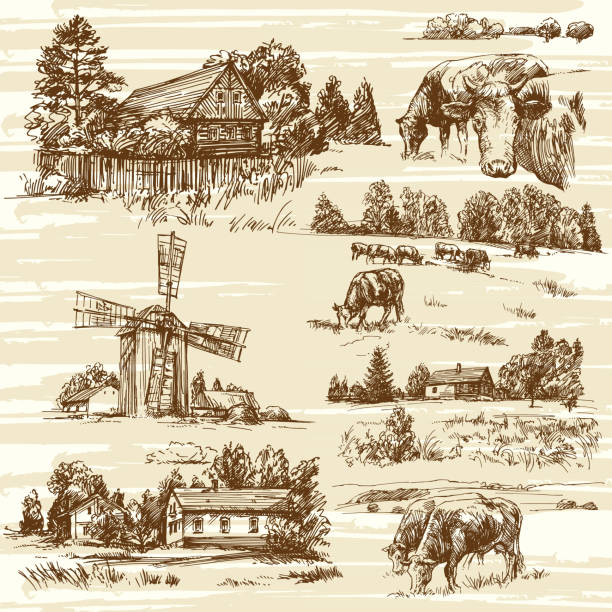 ферма, коровы, сельский пейзаж - нарисованный вручную набор - sketch landscape mountain barn stock illustrations