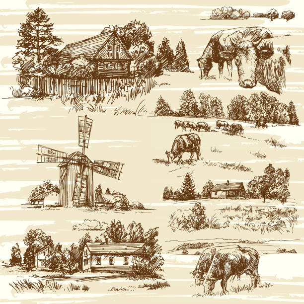 Farm, cows, rural landscape - hand drawn set Farm, cows, rural landscape - hand drawn set farm drawings stock illustrations