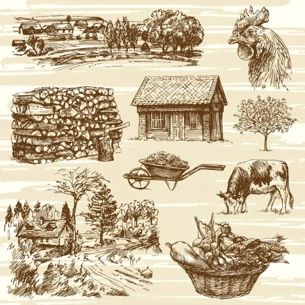 Vector illustration of Farm, harvest, rural landscape, hand drawn set