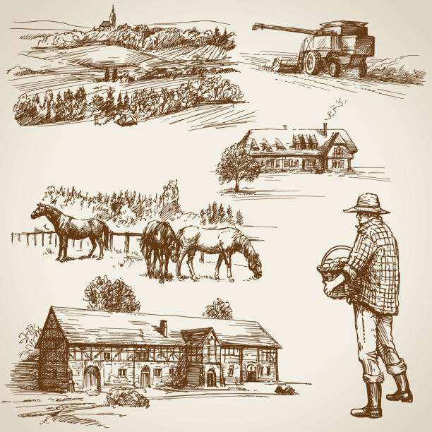 ilustrações de stock, clip art, desenhos animados e ícones de farmland, harvest on the farm - architectural styles animal horse europe