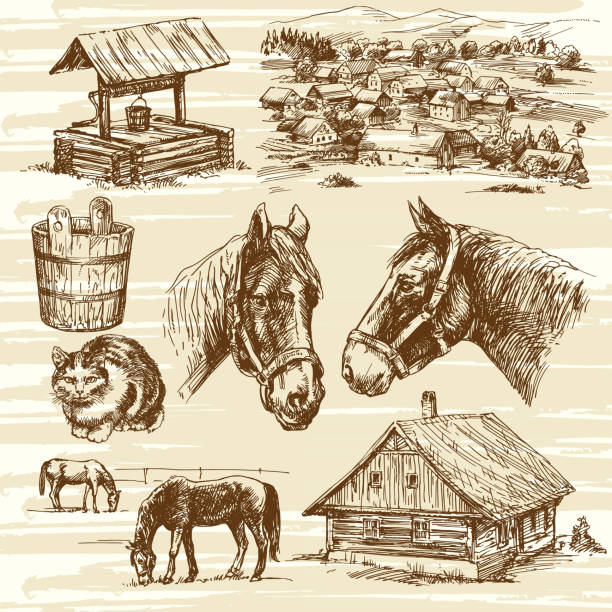 Set of horses and romantic rural house and landscape. Set of horses and romantic rural house and landscape. hand drawn set old water well drawing stock illustrations