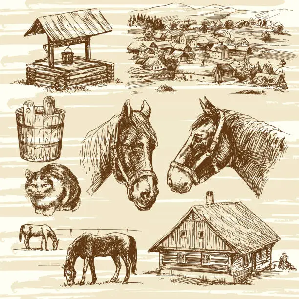 Vector illustration of Set of horses and romantic rural house and landscape.