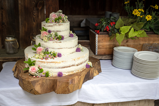 White Wedding Cake with pink Roses and Flowers on a cut Tree.