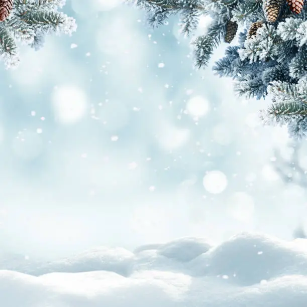 Photo of Christmas winter background with snow and blurred bokeh.Merry christmas and happy new year greeting card with copy-space.
