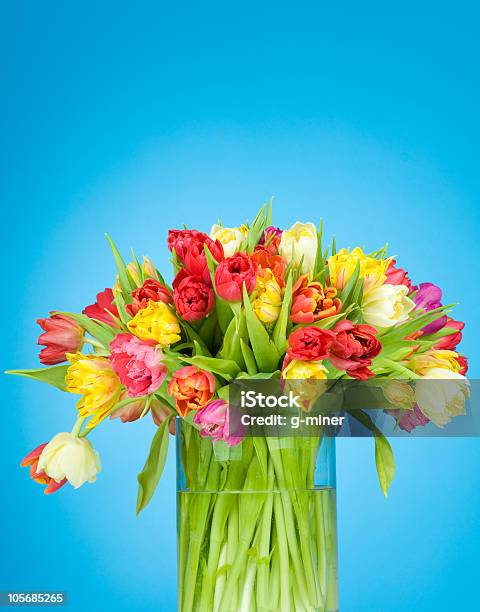 Photo libre de droit de Tulipes Dans Le Vase banque d'images et plus d'images libres de droit de Fleur - Flore - Fleur - Flore, Vase, Bleu