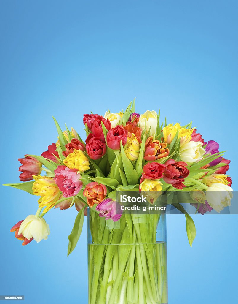 Тюльпаны в Ваза - Стоковые фото Ваза роялти-фри
