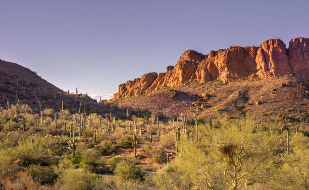 istock Beautiful desert landscape in Arizona 1056853054