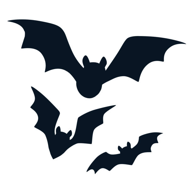 ilustrações, clipart, desenhos animados e ícones de morcegos de halloween preto voando silhuetas isoladas no branco. taco simples icon vetor desenho ilustração. outono, dia das bruxas. elemento do projeto de vida selvagem. - bat cartoon halloween wing