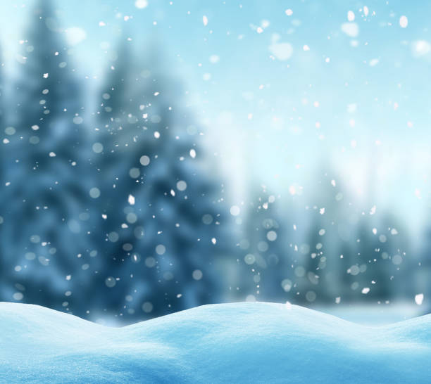 istock Christmas winter background with fir trees and blurred bokeh 1056853472