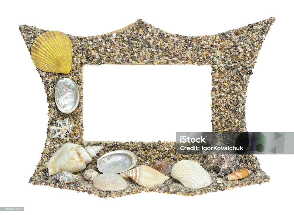 Shell Frame Google Shell Frame Isolated On White Stock Photo - Download Image Now - Animal ...
