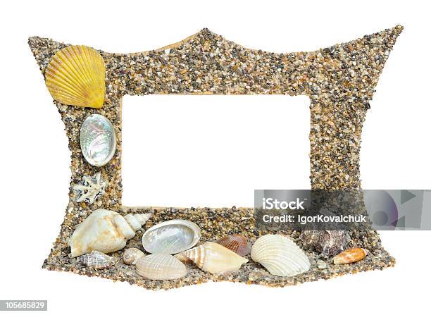 Shell Frame Images Shell Frame Isolated On White Stock Photo - Download Image Now - Animal ...