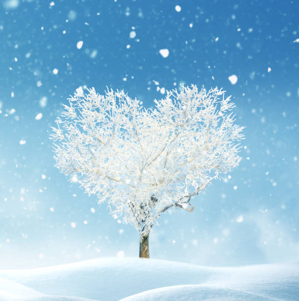 35,600+ Snow Heart Stock Photos, Pictures & Royalty-Free Images - iStock