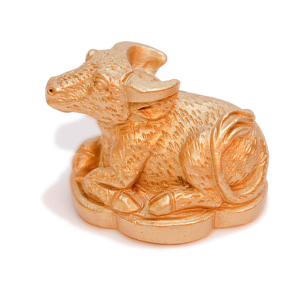 istock Golden Calf isolated 1 105686144