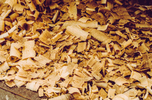 istock Texture of large wood chips, concept for workshop. 1056864004