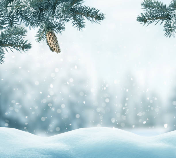 istock Christmas background with fir tree branch.Winter landscape 1056864992
