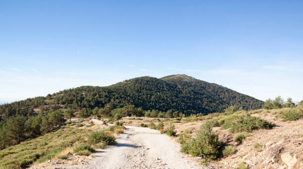 istock Panoramic Sierra de Guadarrama National Park. Sunrise views 1056866570