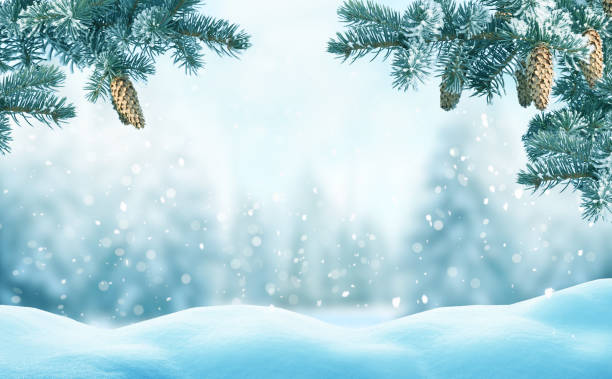 istock Christmas background with fir tree branch.Winter landscape 1056869722