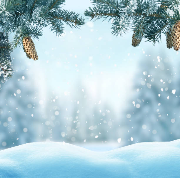 istock Christmas background with fir tree branch.Winter landscape 1056870000