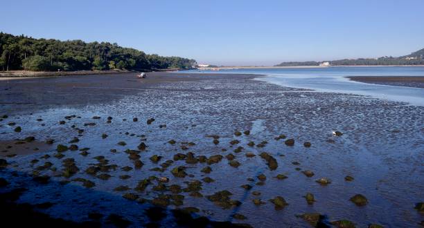 istock Coastal landscape in Portugal 1056875340