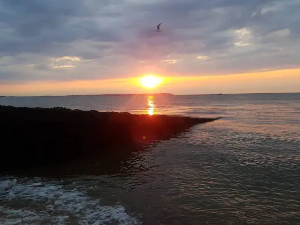 The sun begins to disappear behind sheerness while a lonely seagull flies past