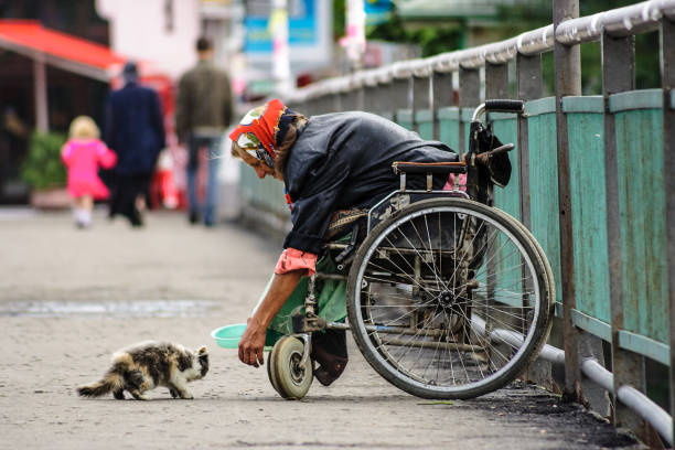 UZHGOROD - JULY 20 : disabled female beggar trying to feed a cat July 20, 2008 in Uzhgorod, Ukraine. Disabled female beggar in a wheelchair try to feed a cat, while a family passed by, thus shows a humanity standards of a modern society