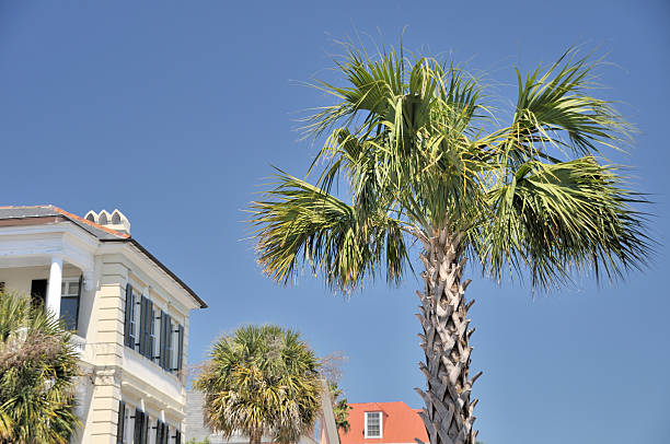 istock Historic Charleston, South Carolina 105687750