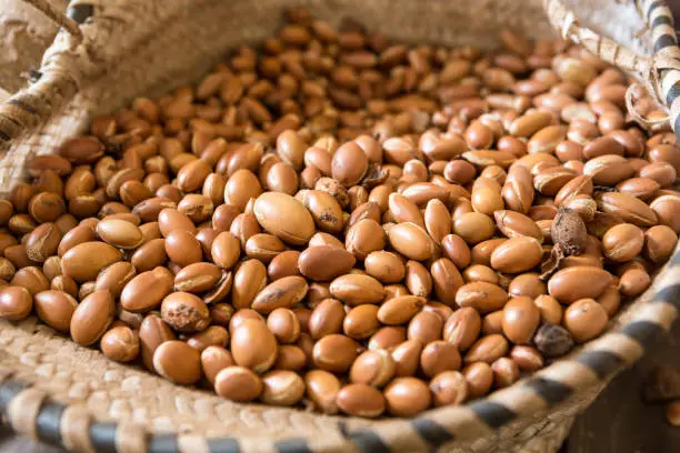 Photo of Argan oil is a product widely exported by Morocco to be used in the cosmetics industry.