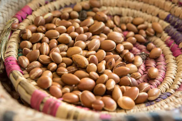 Photo of Argan oil is a product widely exported by Morocco to be used in the cosmetics industry.