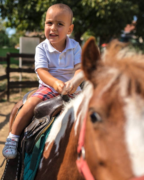 istock Excited Young Boy Taking a Pony Ride 1056878398