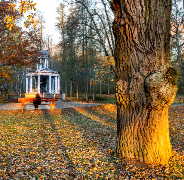 istock Abandoned ancient stone pergola in old botanical park, EC 1056878694