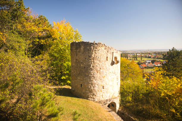 istock an old fortified tower on a hill in the forest 1056881606