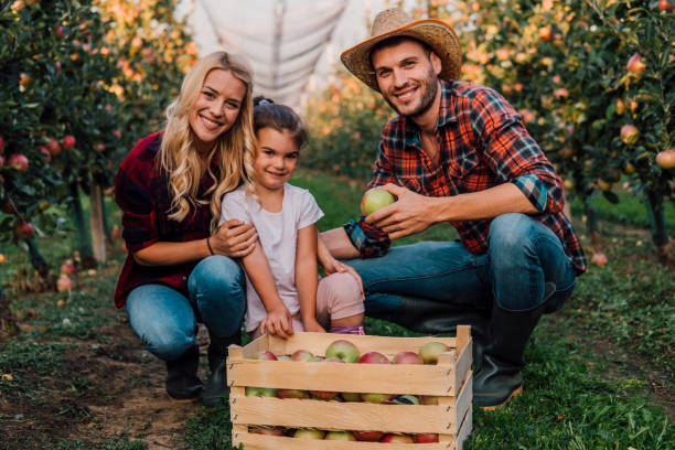 istock Couple with child at apple orchard 1056882358