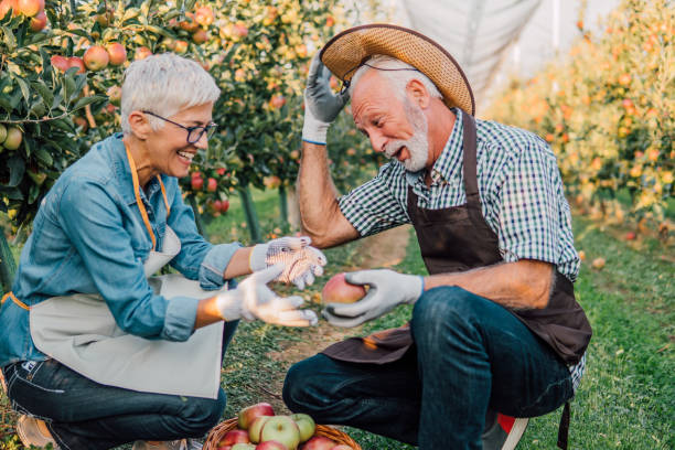 istock Framer and his wife holding an apple 1056882948