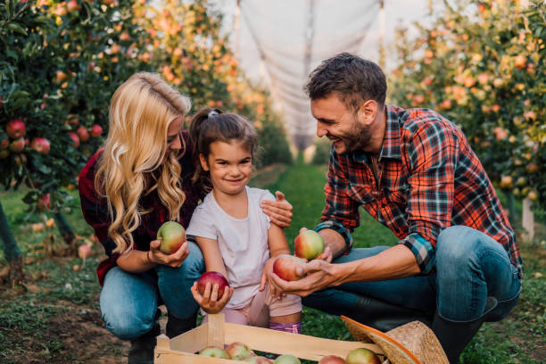 istock Young girl with parents at apple orchard 1056883856