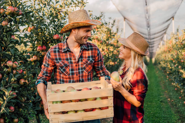 istock Happy couple with homegrown apples 1056884448