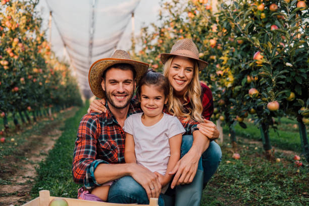 istock Happy young family at apple orchard 1056885816