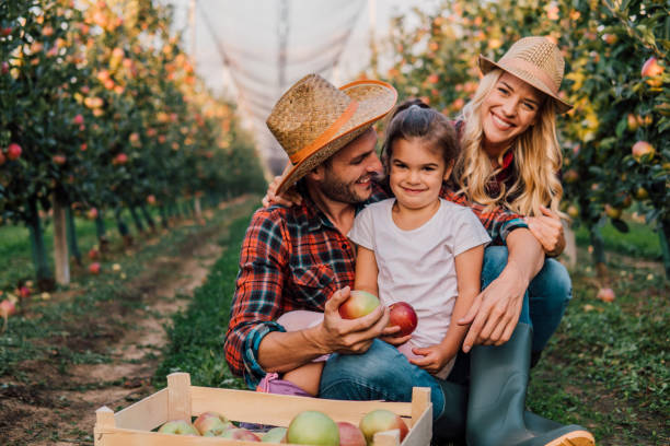 istock Young family holdfing homegrown apples 1056885832