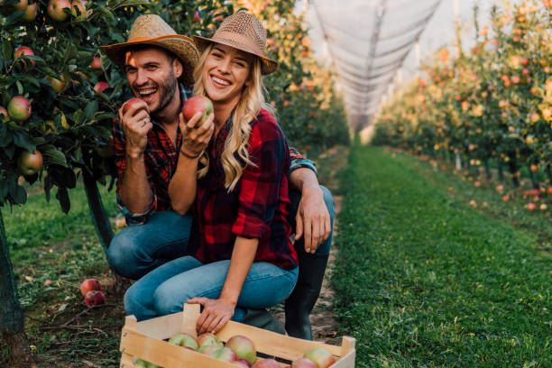 istock Smiling couple eating apples 1056886246