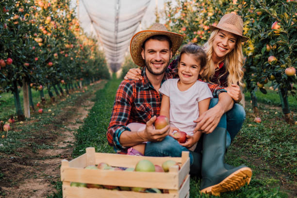istock Family at apple orchard 1056887644