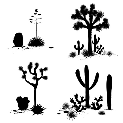 Cacti outline landscape groups. Vector set with silhouettes of saguaro, prickly pear, and agave. Black and white banner, place for text